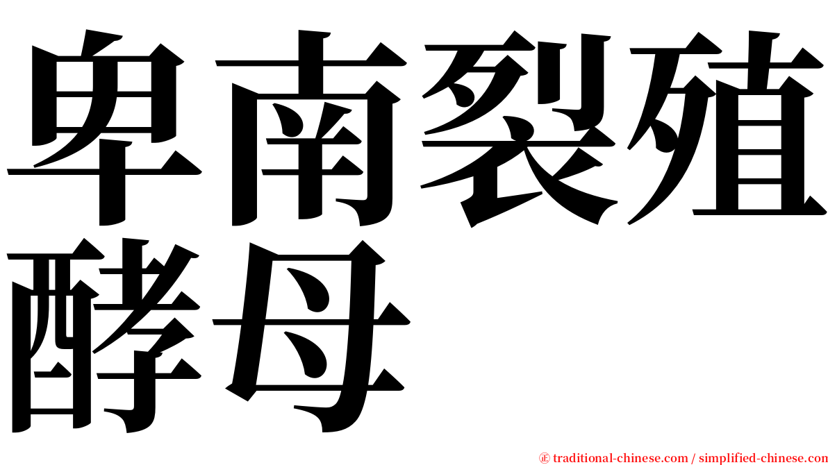 卑南裂殖酵母 serif font