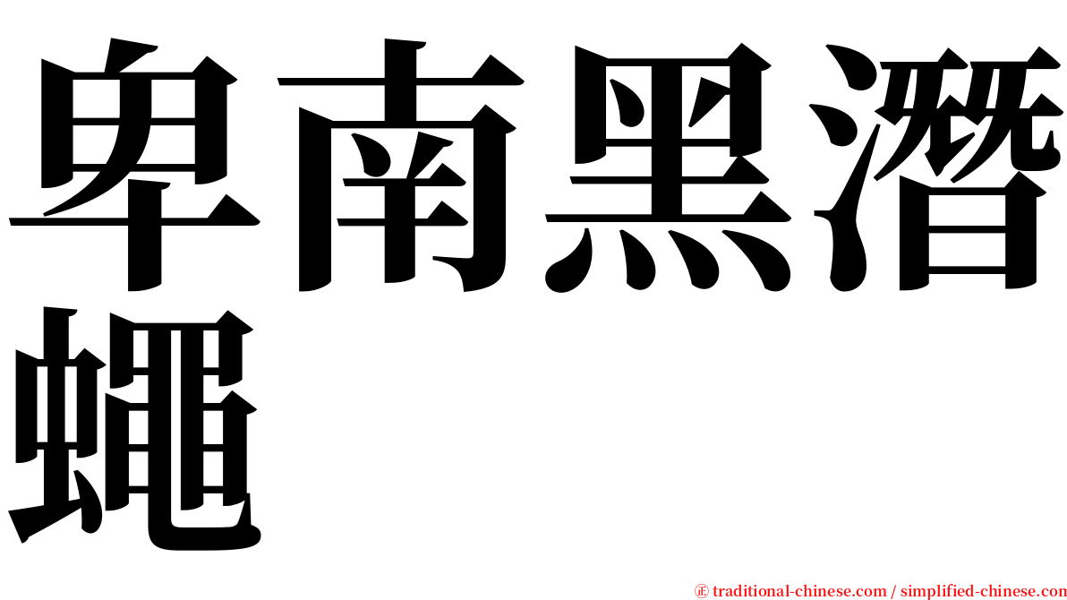 卑南黑潛蠅 serif font