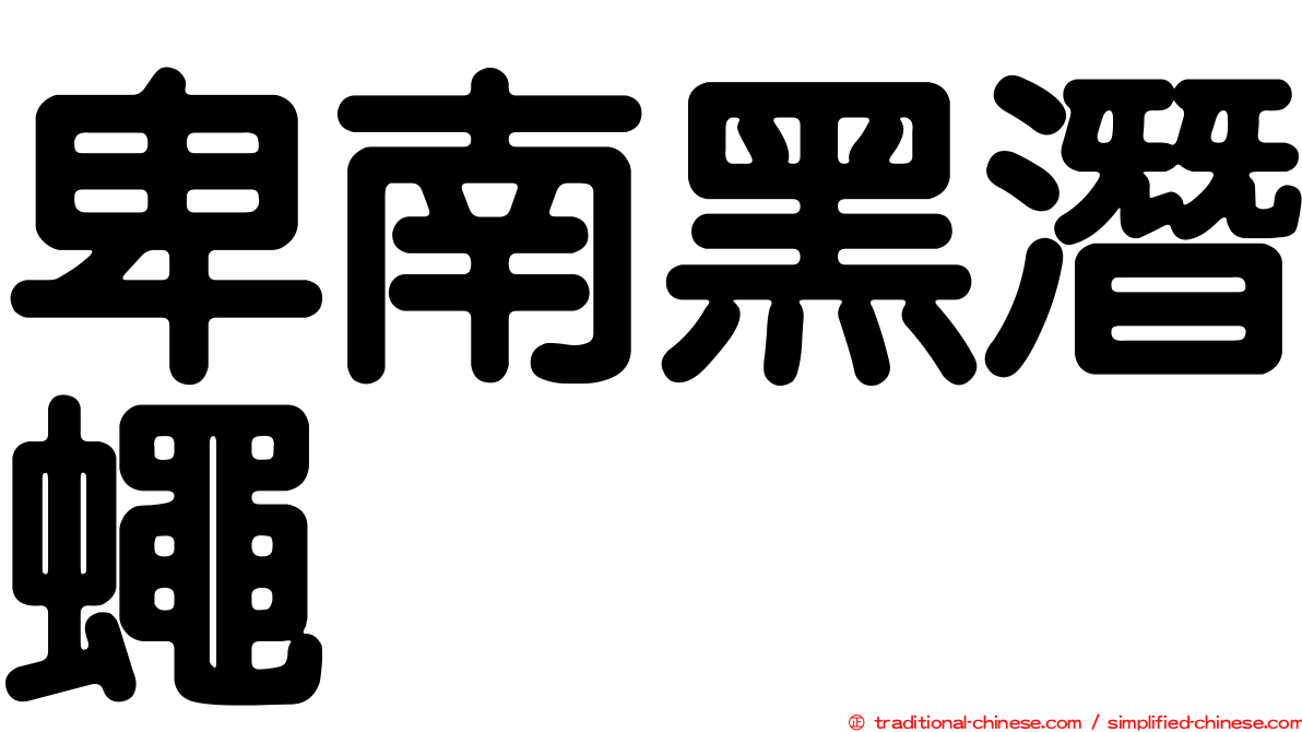 卑南黑潛蠅