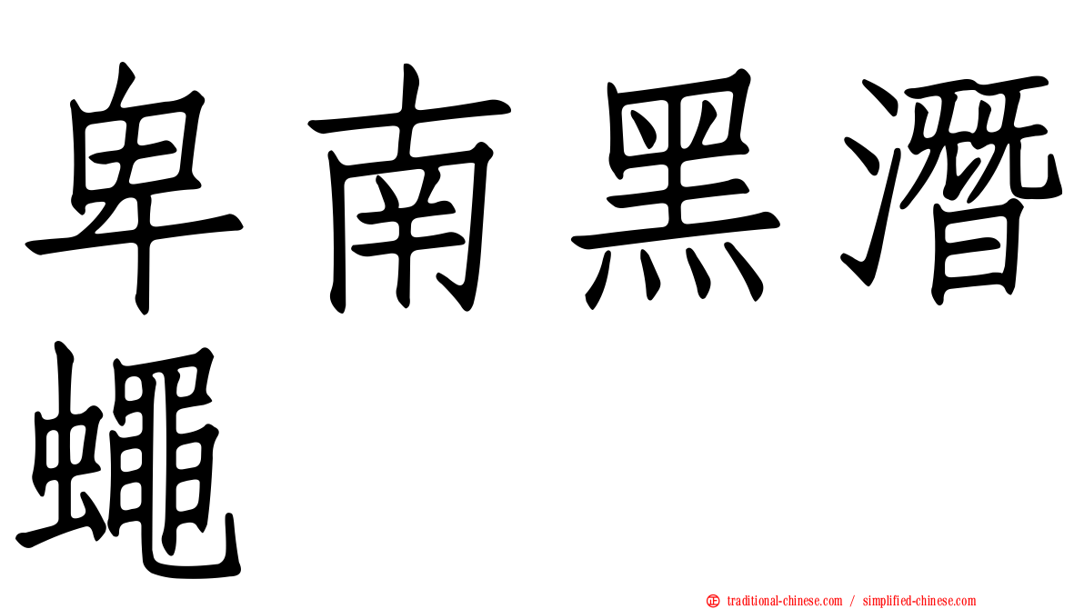 卑南黑潛蠅