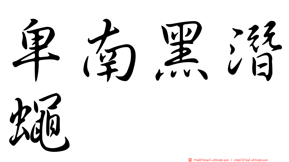 卑南黑潛蠅