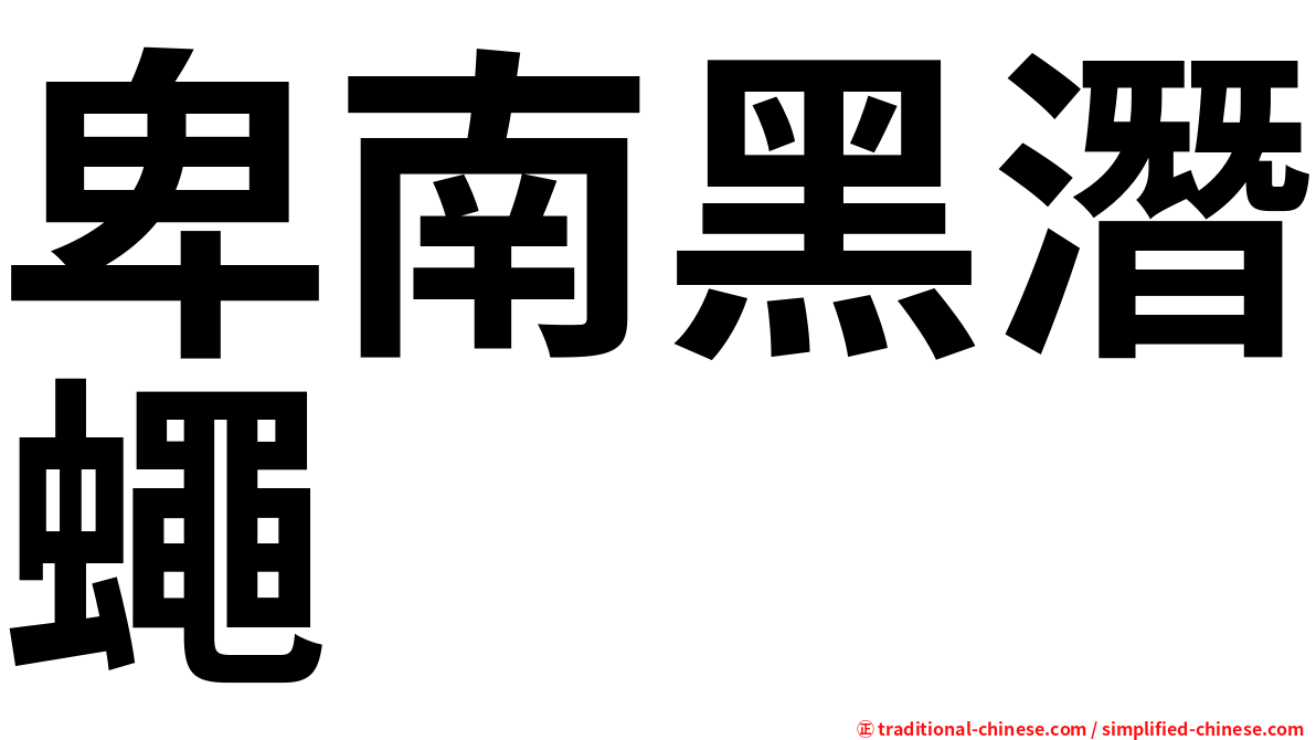 卑南黑潛蠅