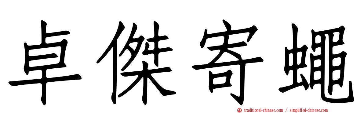 卓傑寄蠅