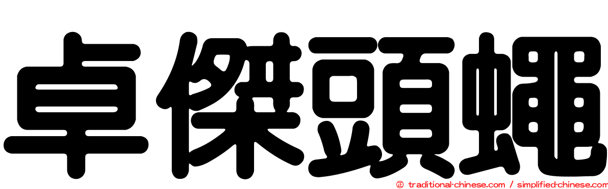 卓傑頭蠅