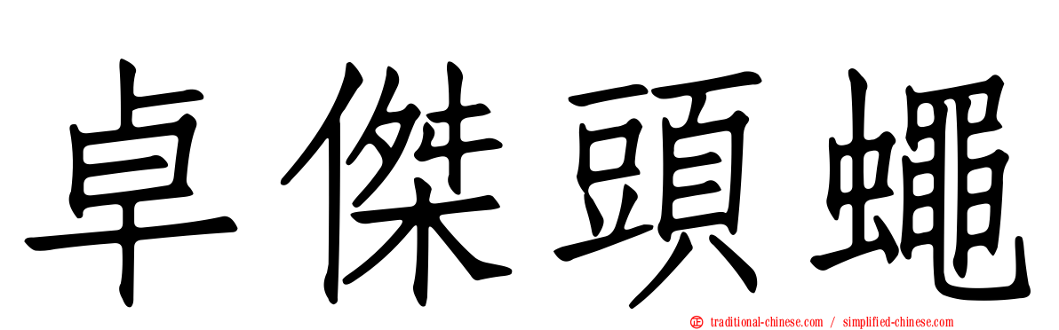卓傑頭蠅