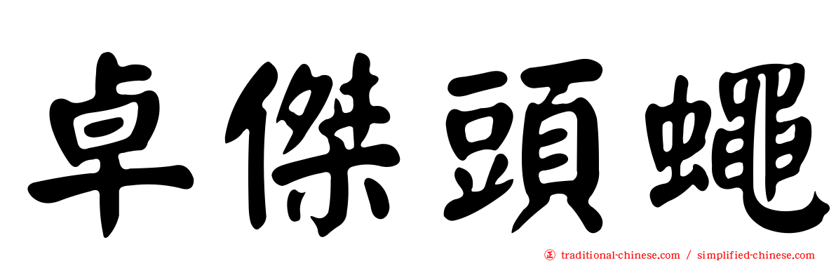 卓傑頭蠅