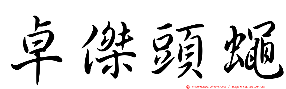卓傑頭蠅