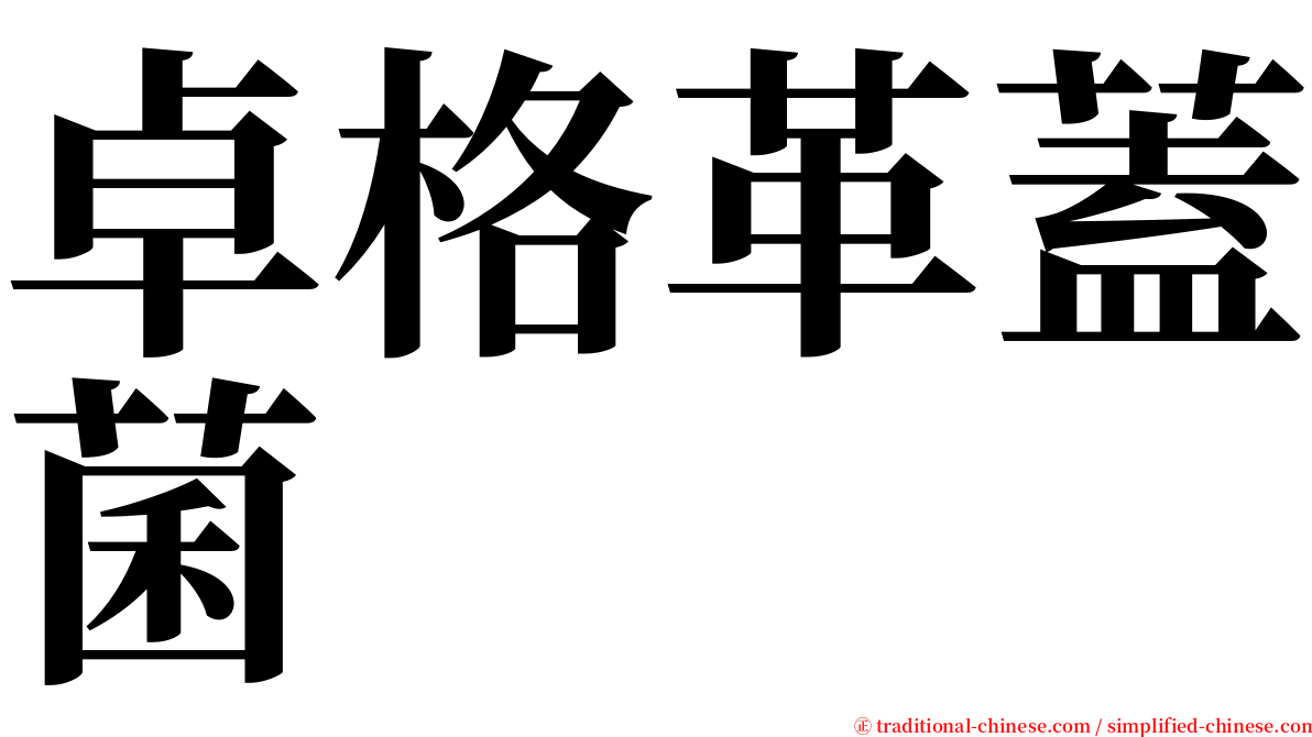 卓格革蓋菌 serif font