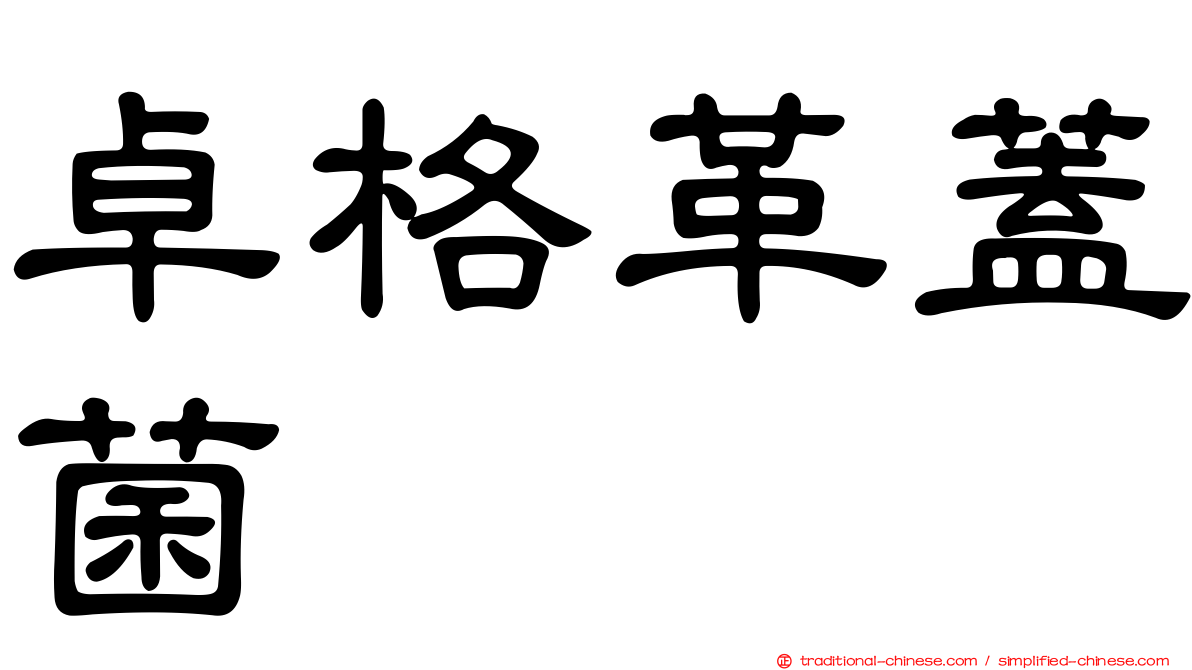 卓格革蓋菌
