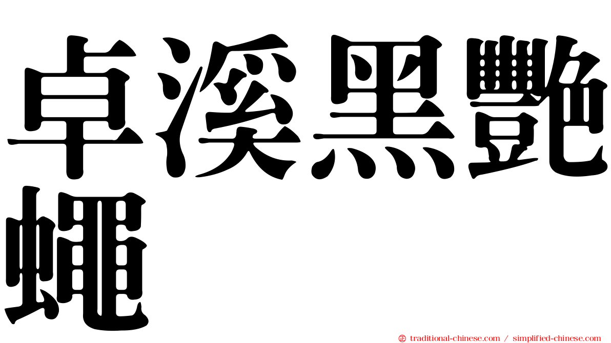 卓溪黑艷蠅