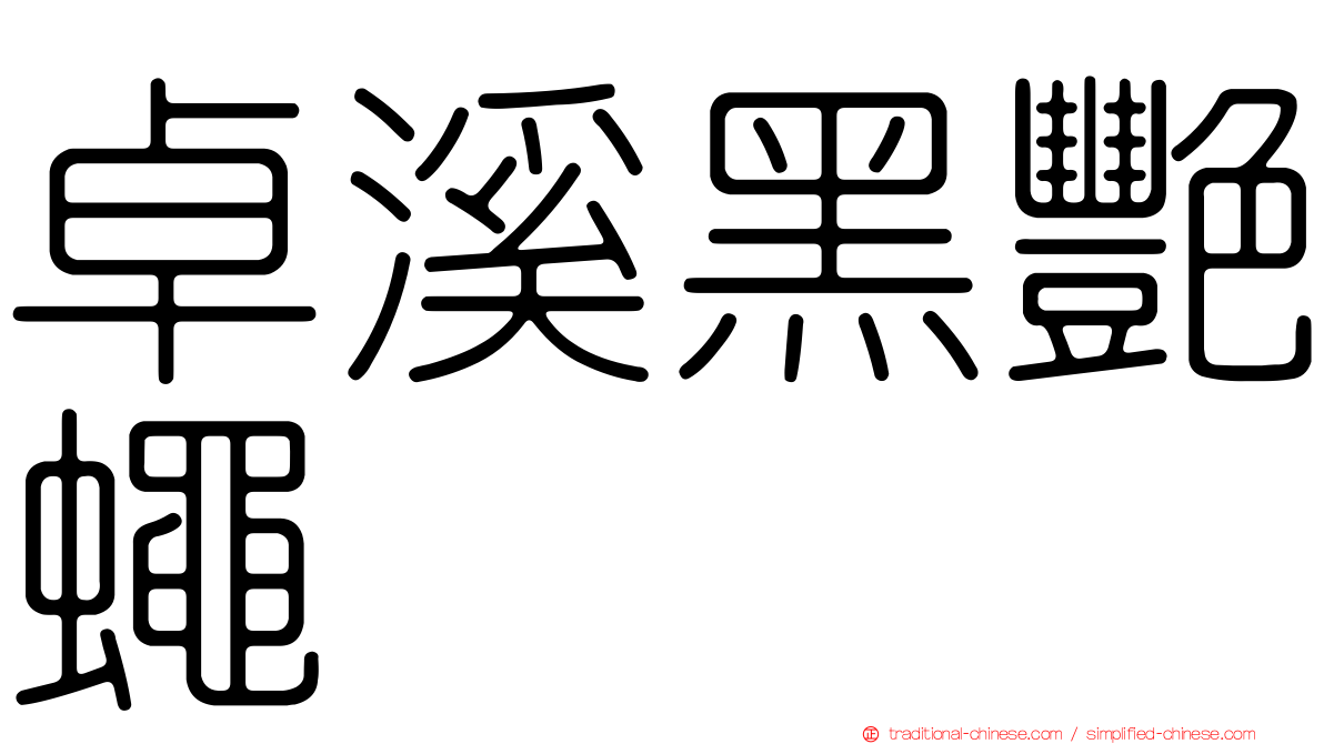 卓溪黑艷蠅