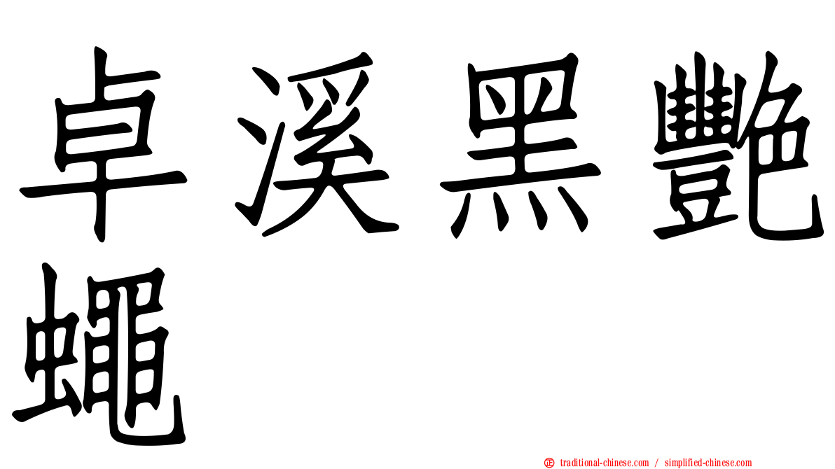 卓溪黑艷蠅