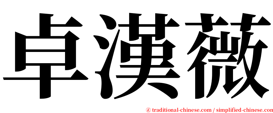卓漢薇 serif font