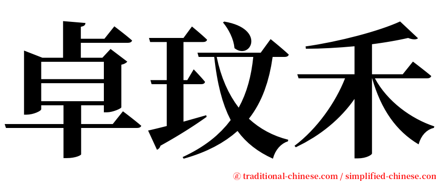 卓玟禾 serif font
