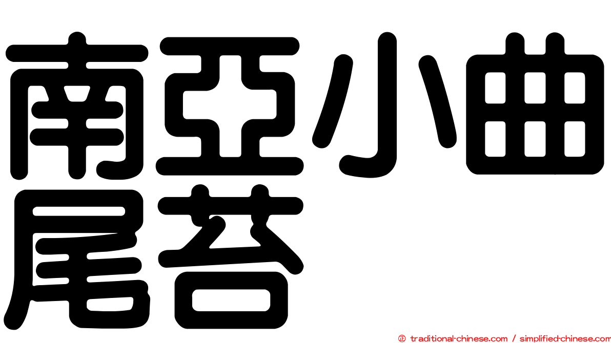 南亞小曲尾苔