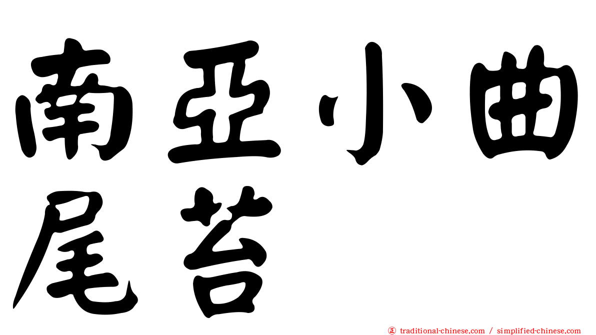 南亞小曲尾苔