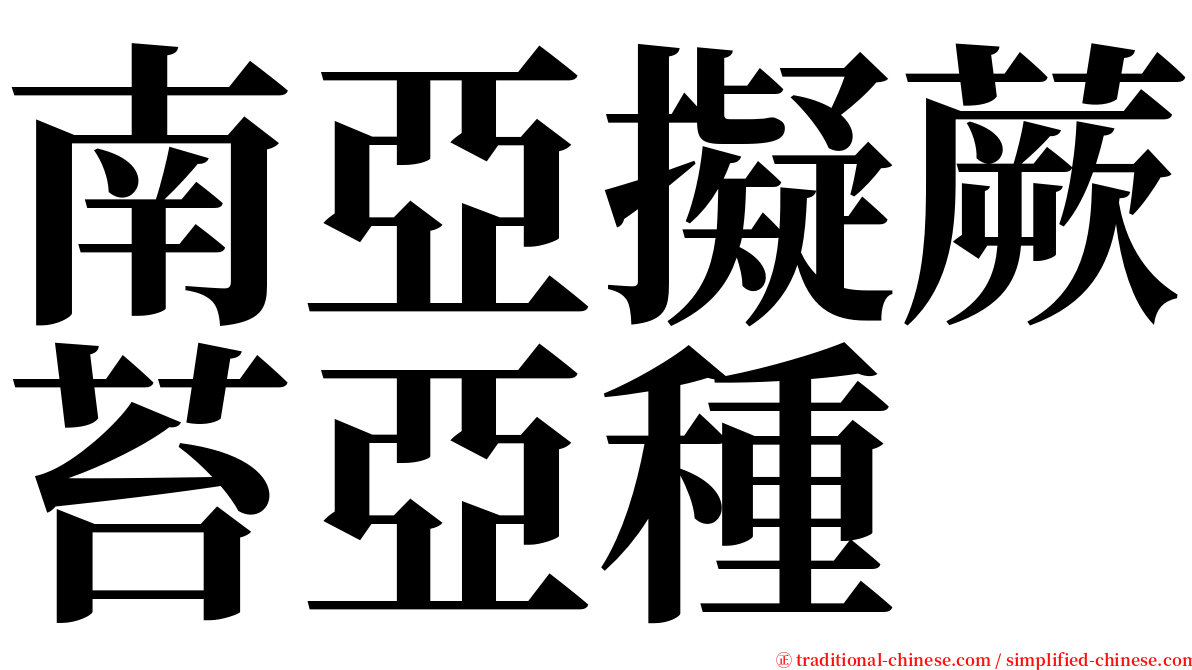 南亞擬蕨苔亞種 serif font