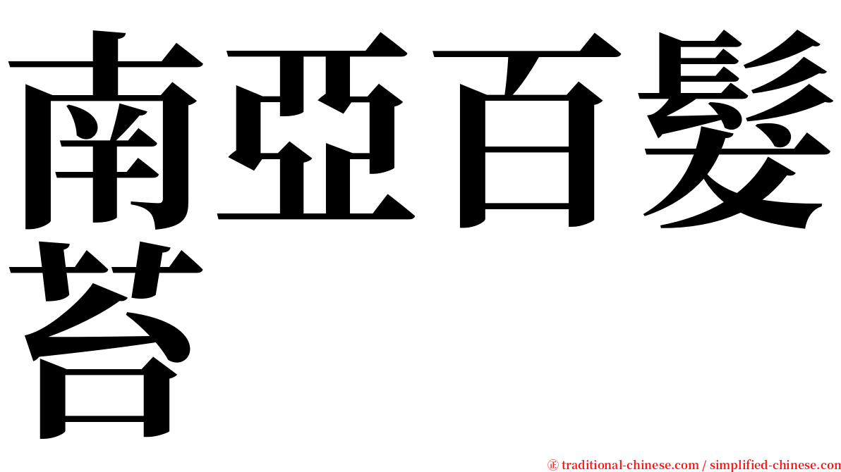 南亞百髮苔 serif font