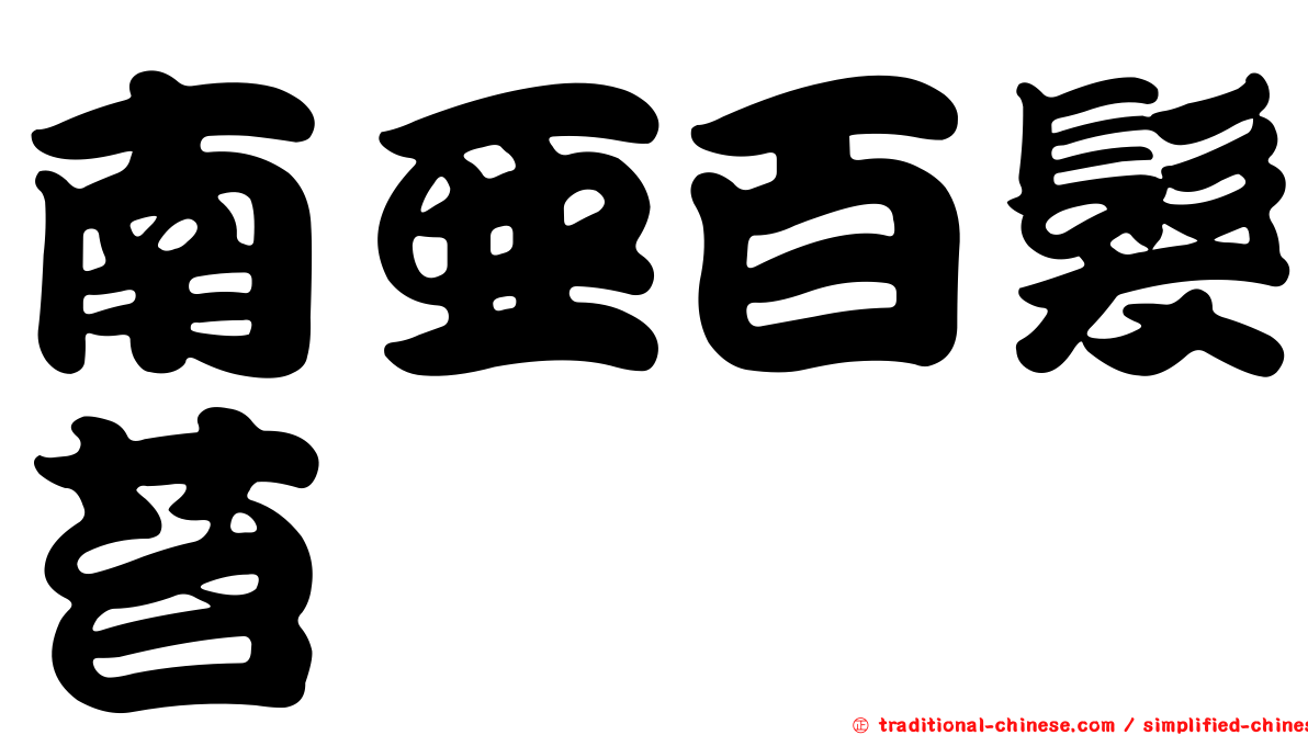 南亞百髮苔