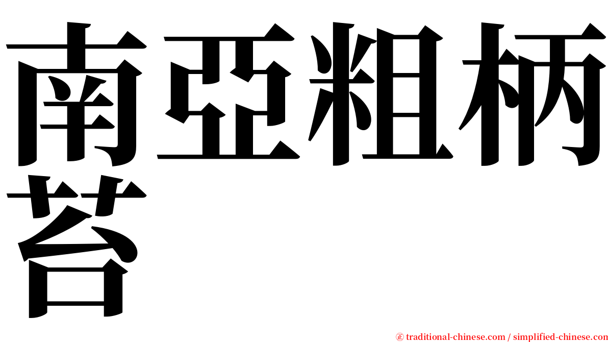 南亞粗柄苔 serif font
