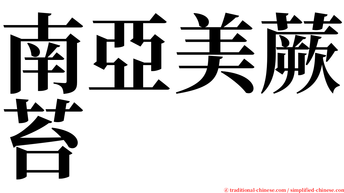 南亞美蕨苔 serif font