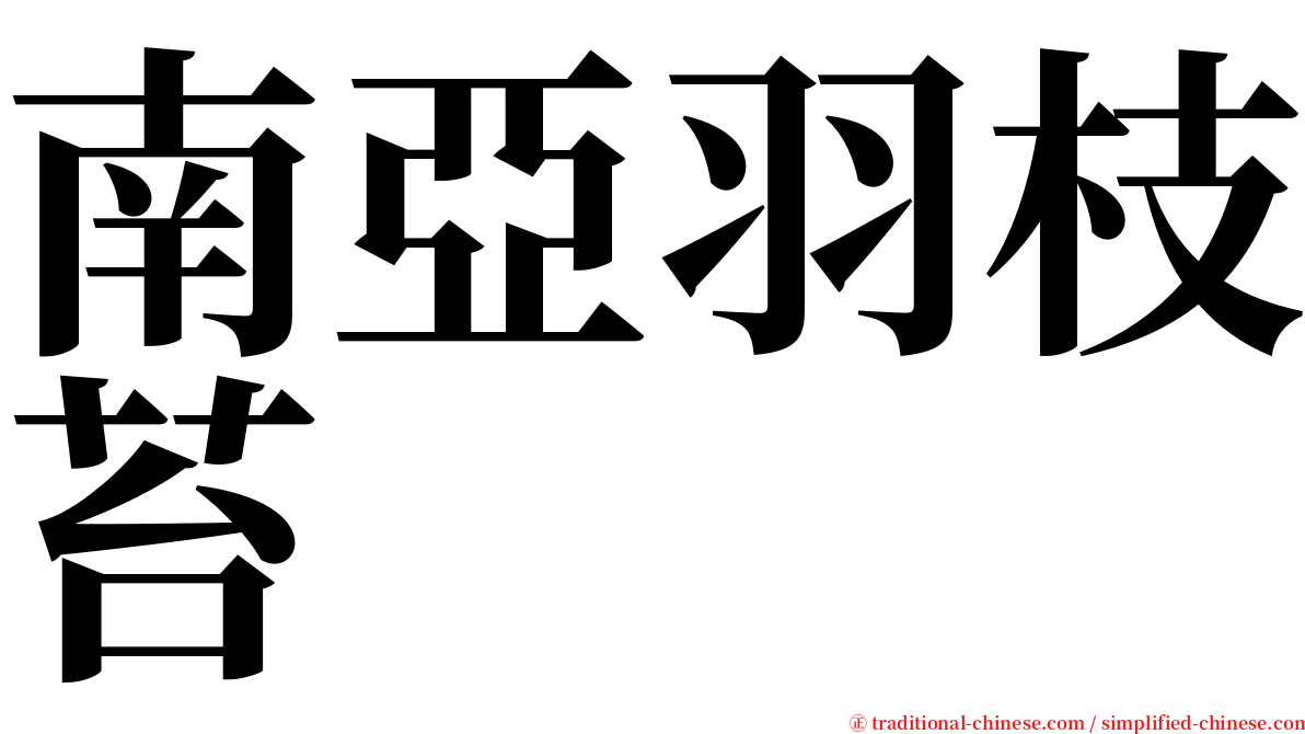 南亞羽枝苔 serif font