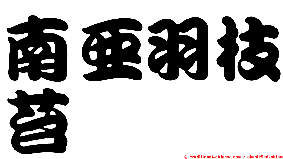 南亞羽枝苔