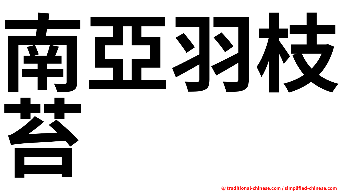 南亞羽枝苔