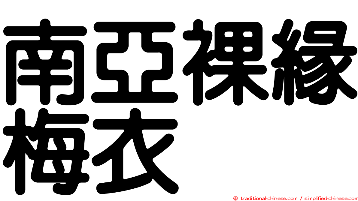 南亞裸緣梅衣