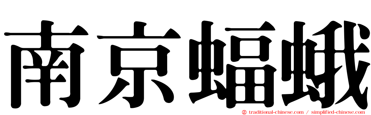 南京蝠蛾