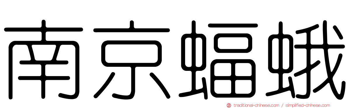 南京蝠蛾