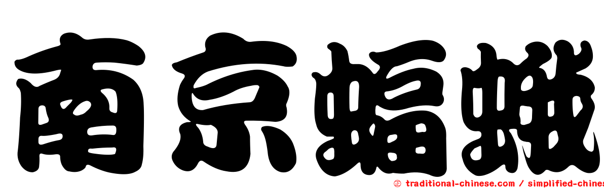 南京蝠蛾