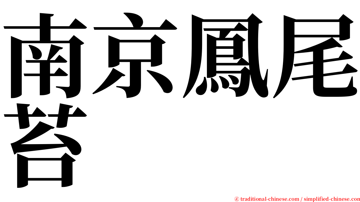 南京鳳尾苔 serif font