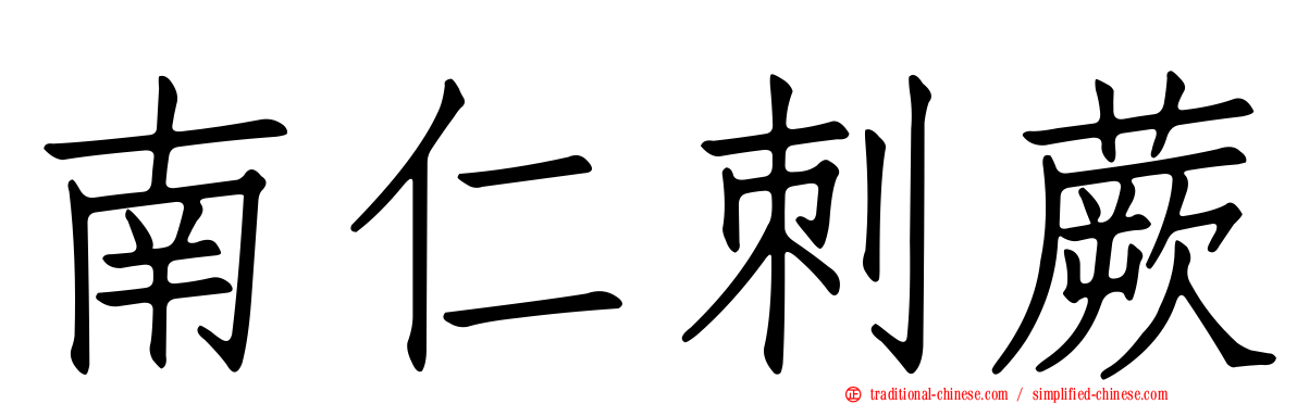 南仁刺蕨