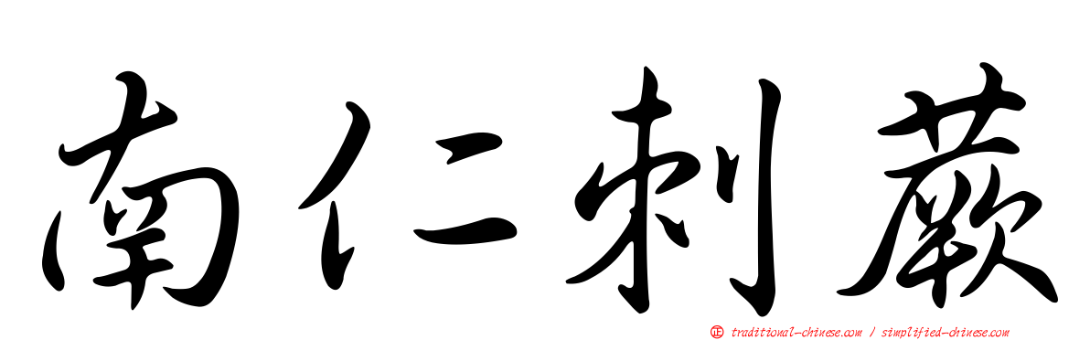 南仁刺蕨
