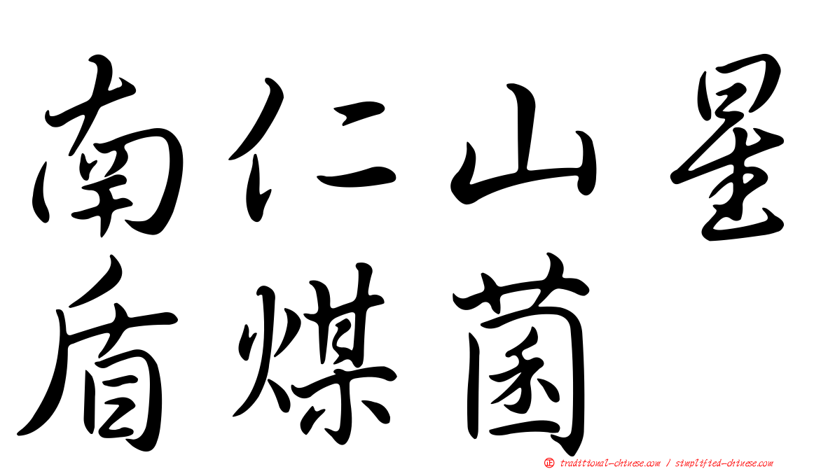 南仁山星盾煤菌