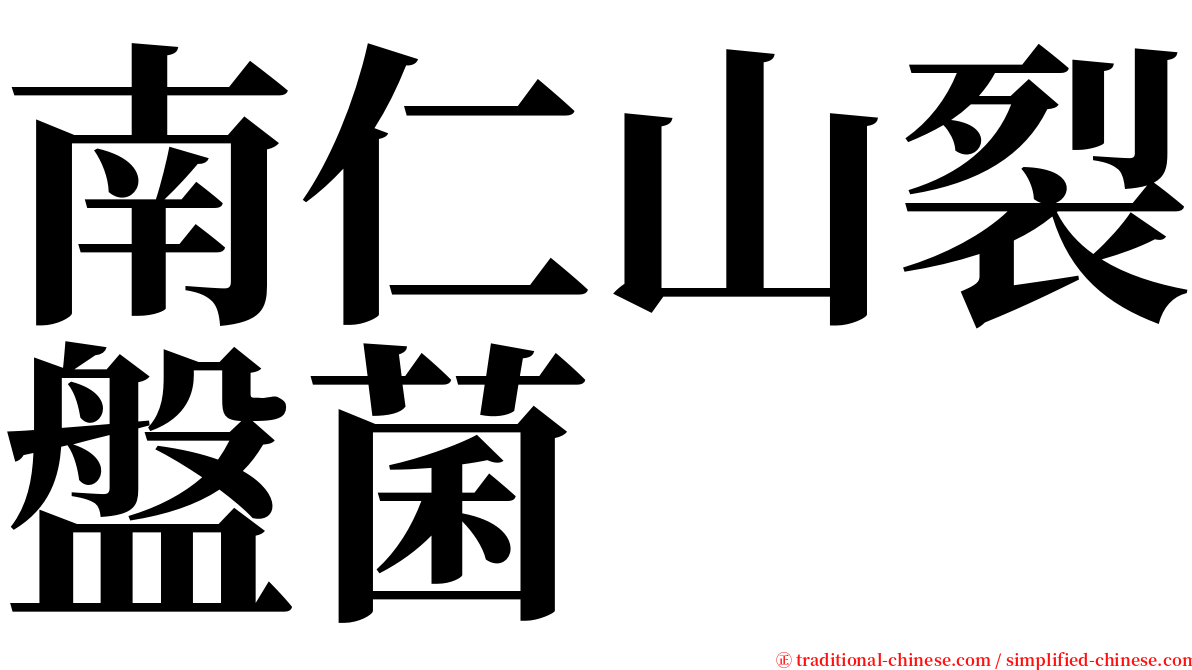 南仁山裂盤菌 serif font