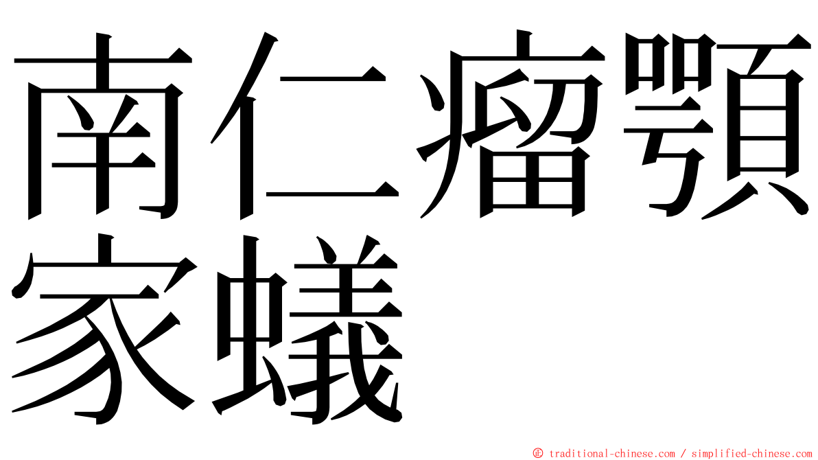 南仁瘤顎家蟻 ming font