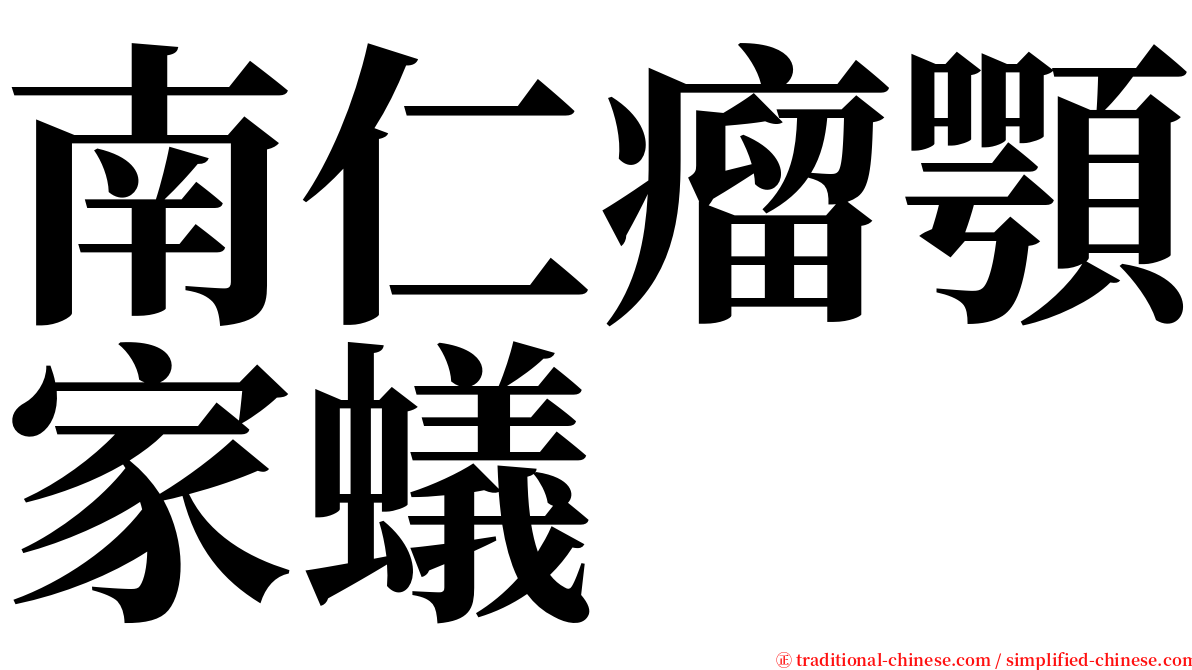 南仁瘤顎家蟻 serif font