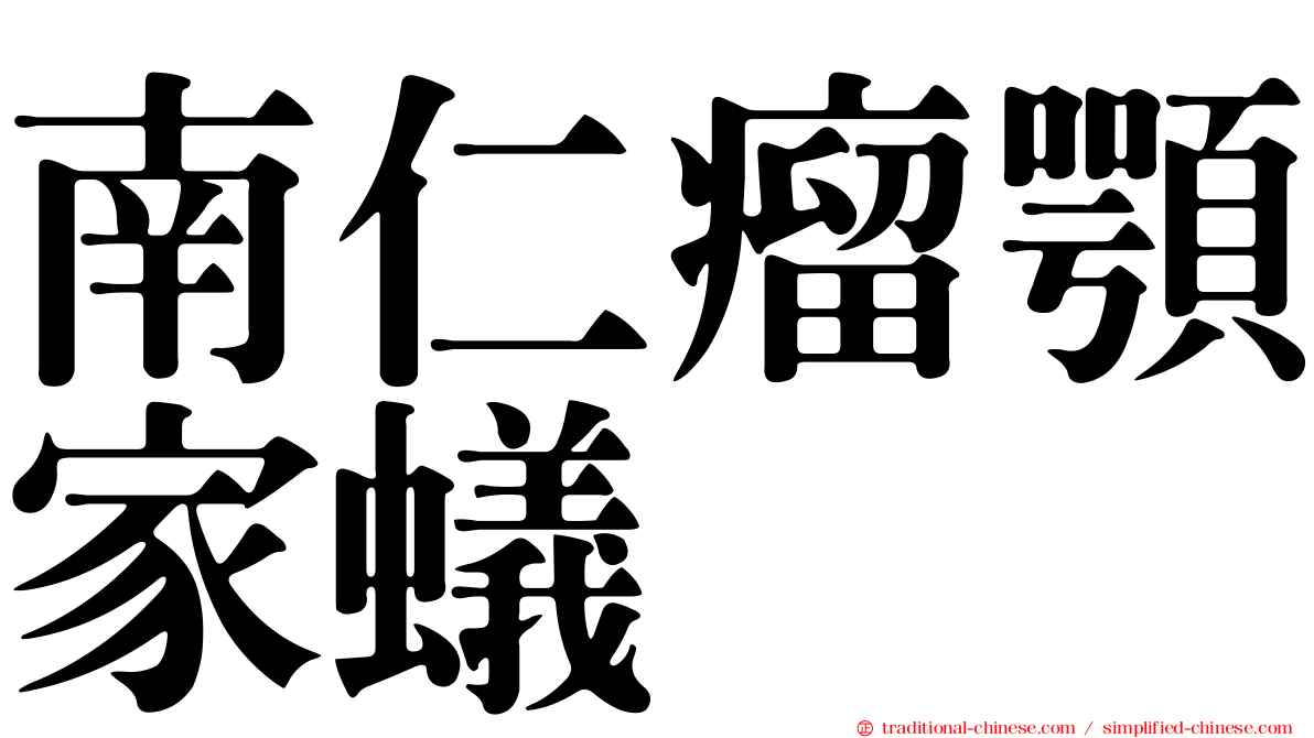 南仁瘤顎家蟻