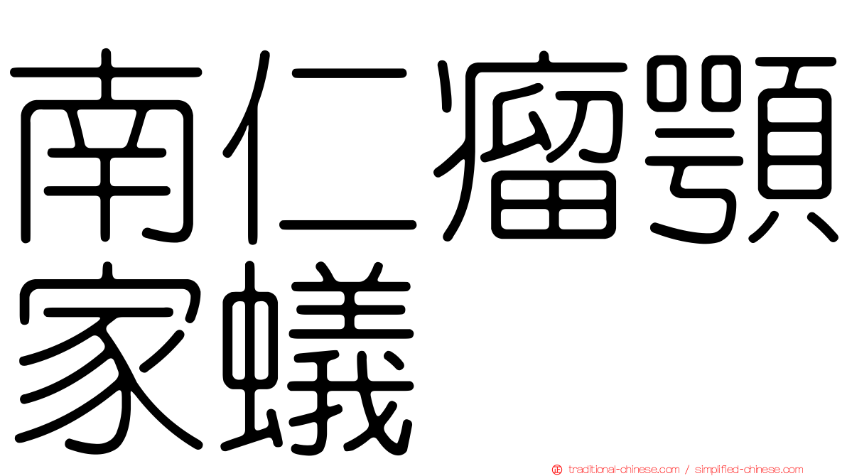 南仁瘤顎家蟻