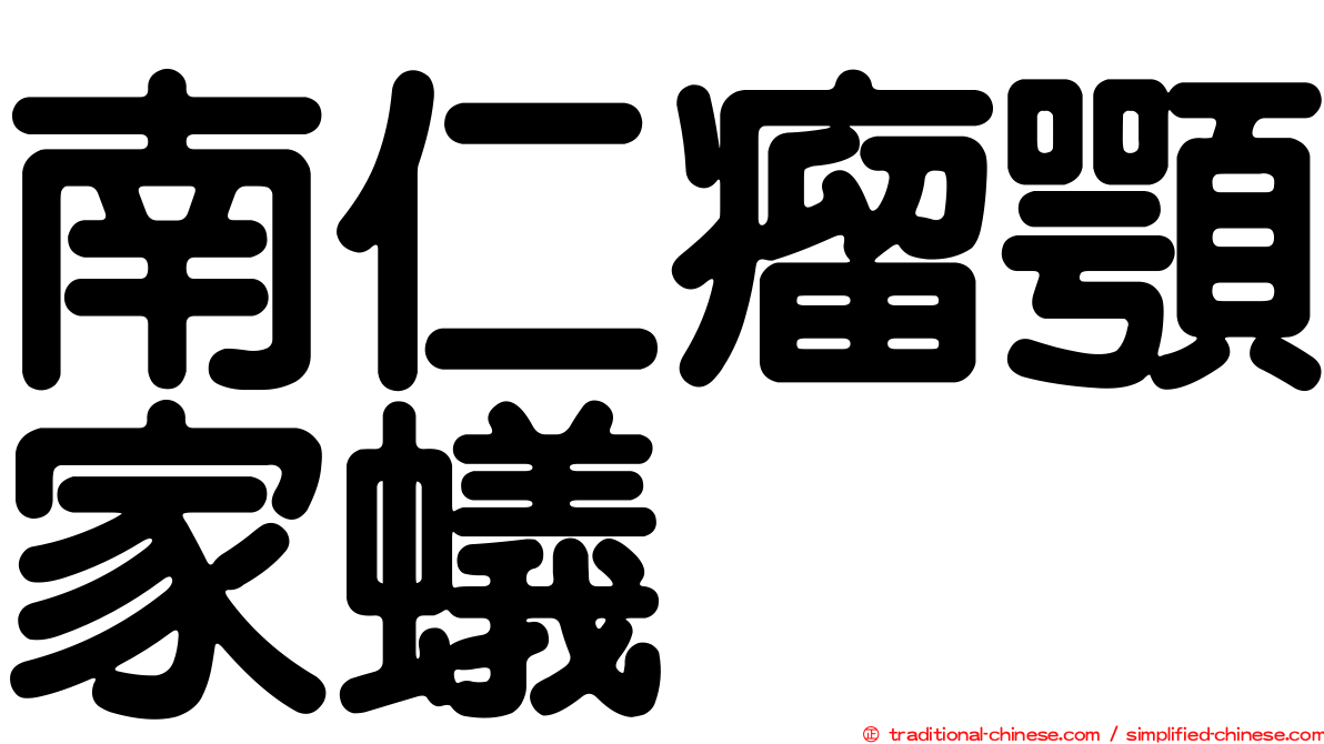 南仁瘤顎家蟻