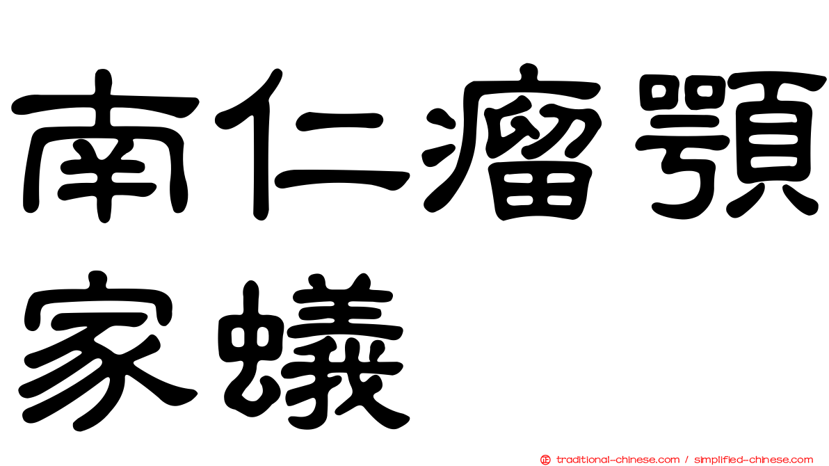 南仁瘤顎家蟻