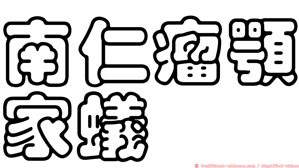 南仁瘤顎家蟻