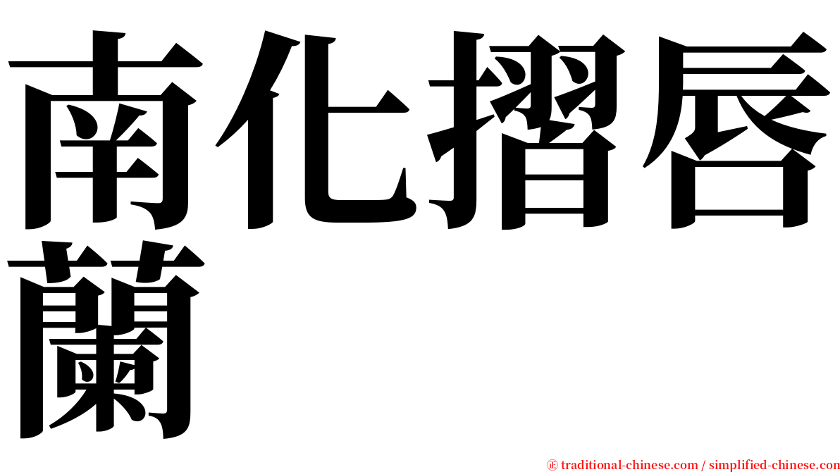 南化摺唇蘭 serif font