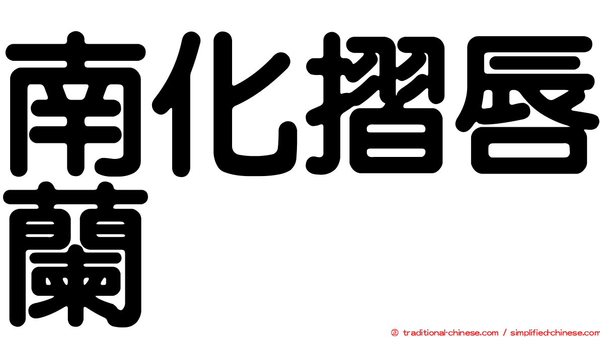 南化摺唇蘭