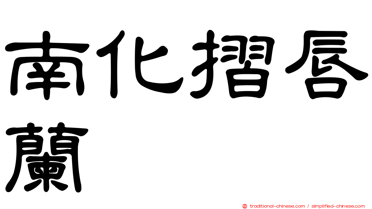 南化摺唇蘭