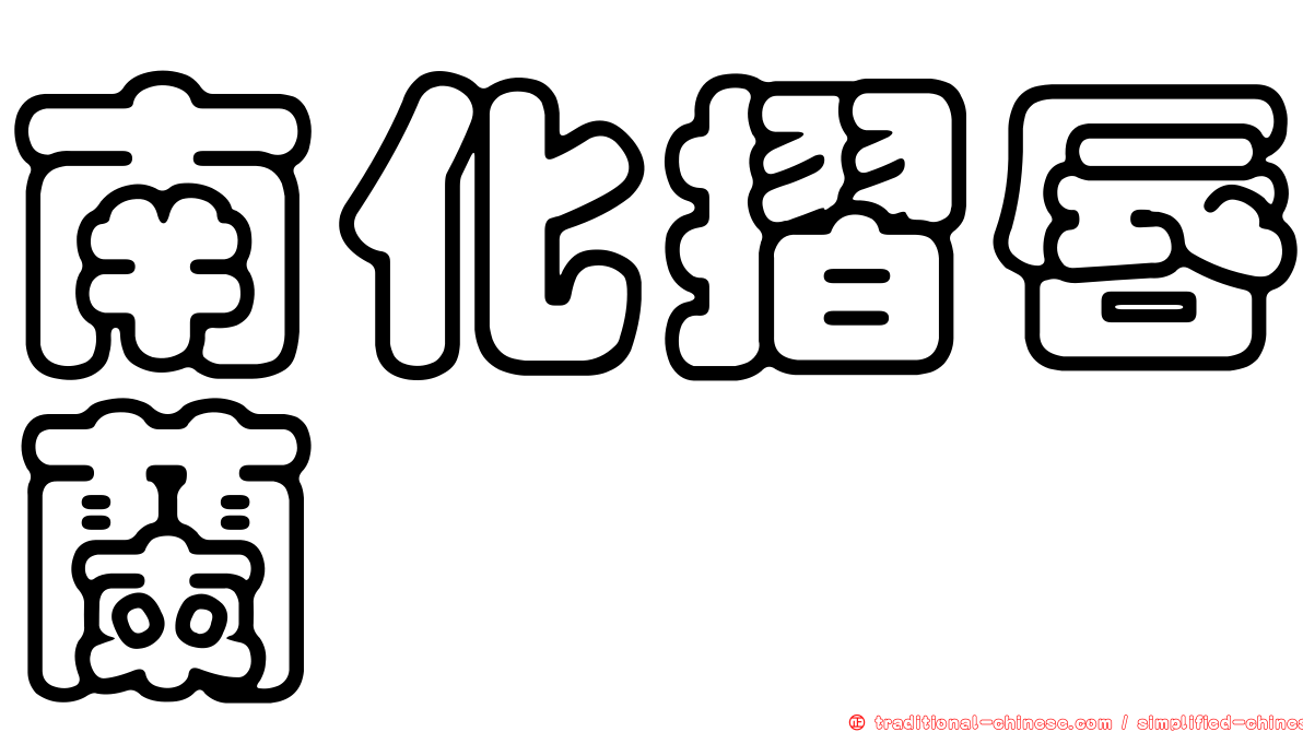 南化摺唇蘭