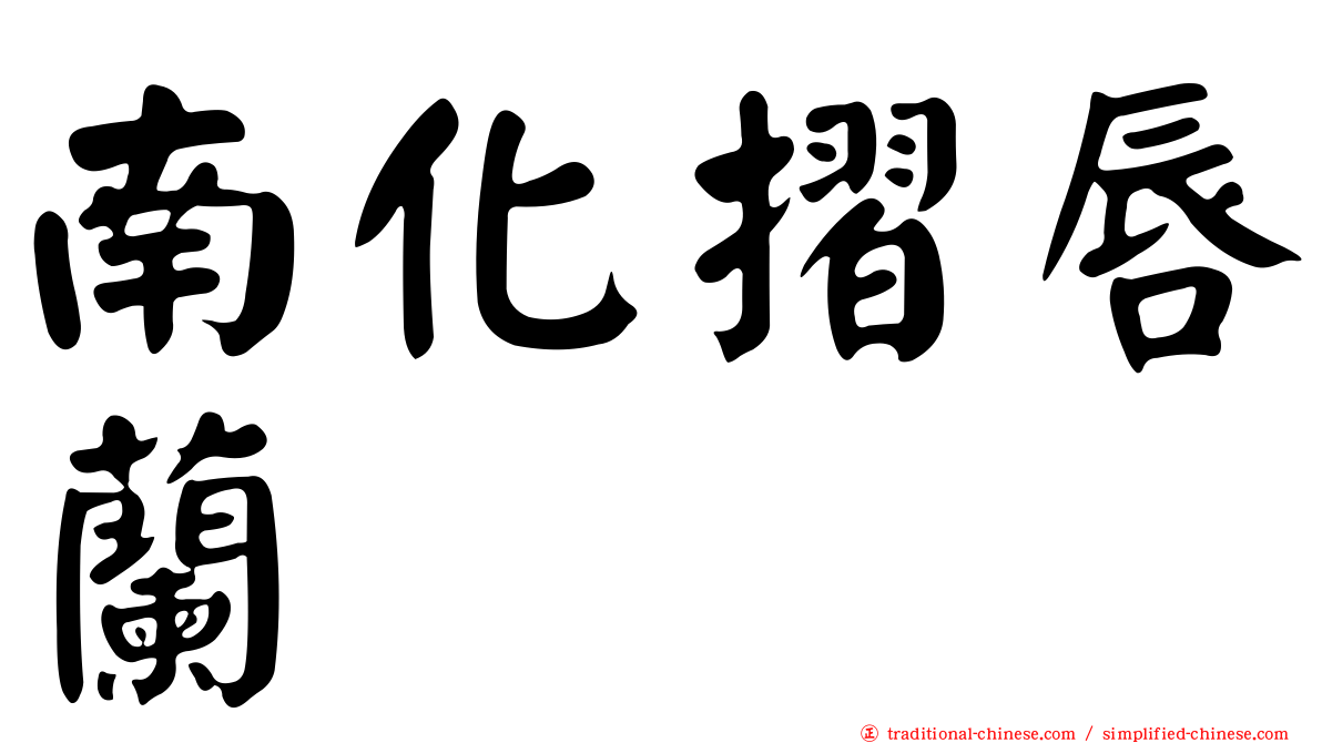 南化摺唇蘭