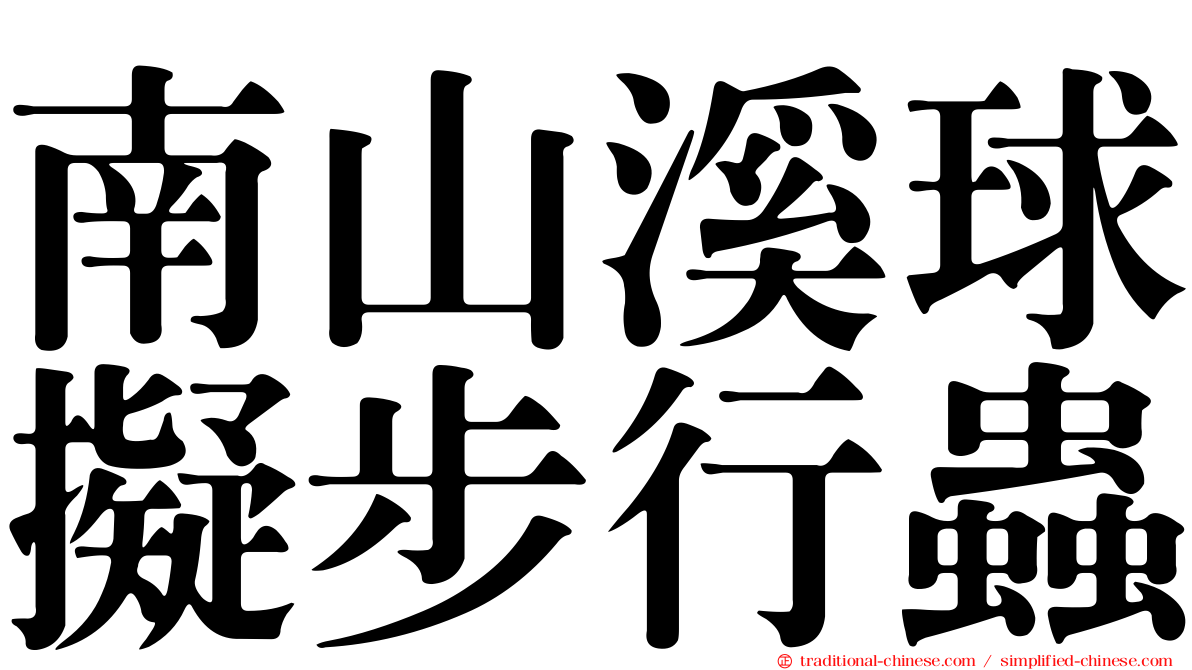 南山溪球擬步行蟲